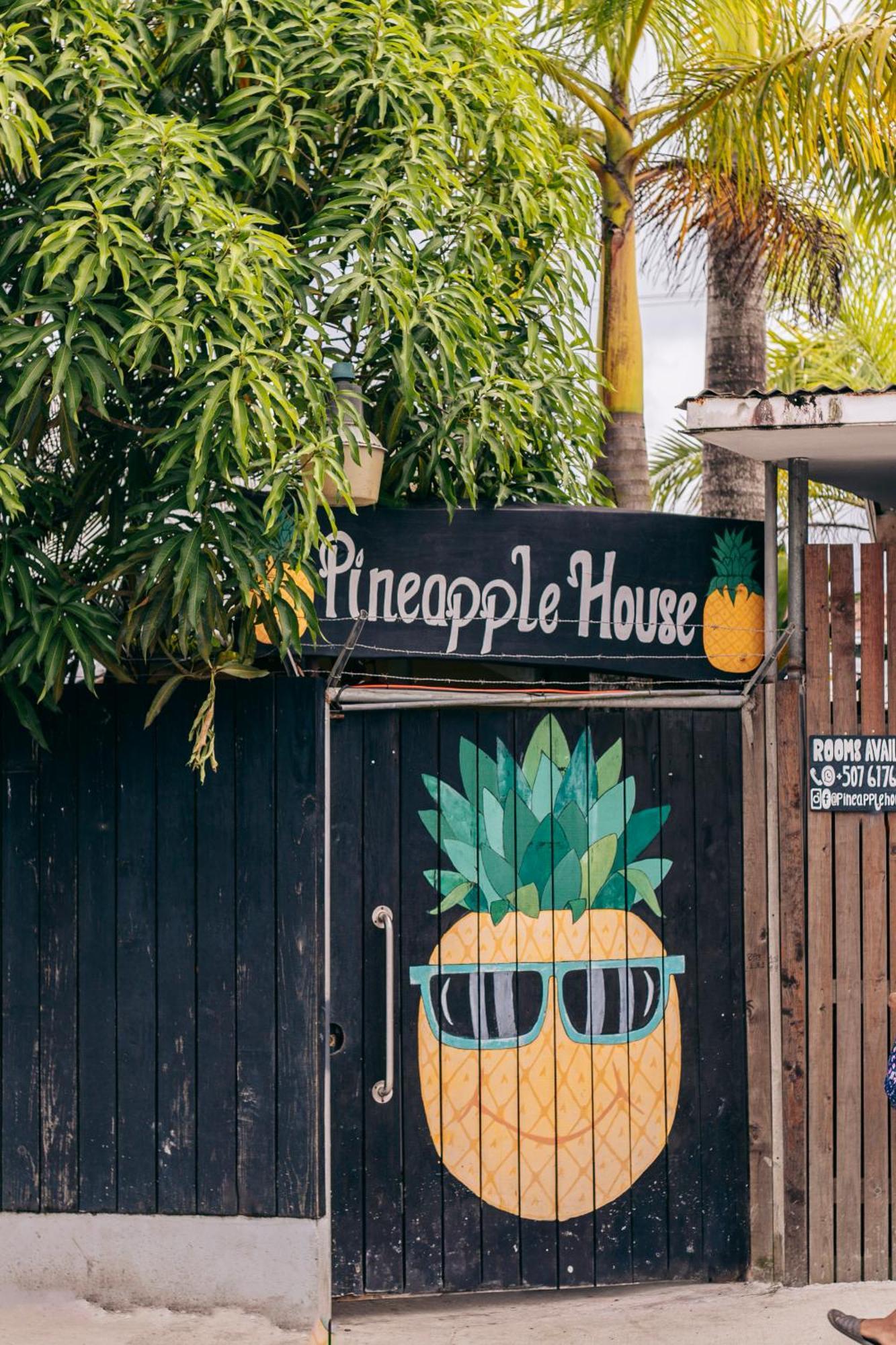 Hotel Pineapple House Bocas del Toro Exterior foto